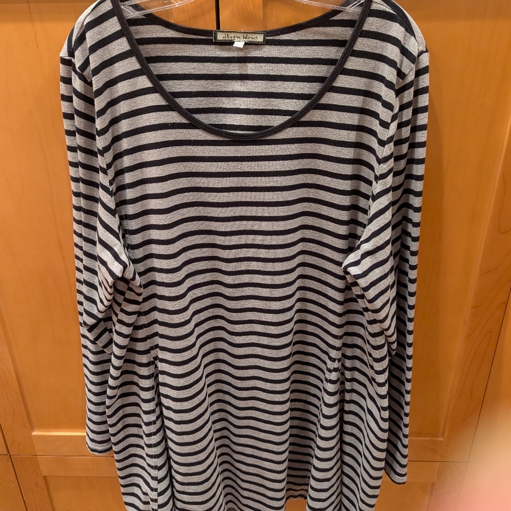 Citron Blue Tunic, 2X